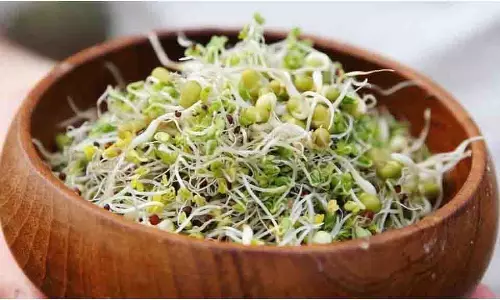 Snacks Recipes: गर्मियों में बनाएं ये स्नैक्स, नहीं पड़ेगी गैस की जरूरत