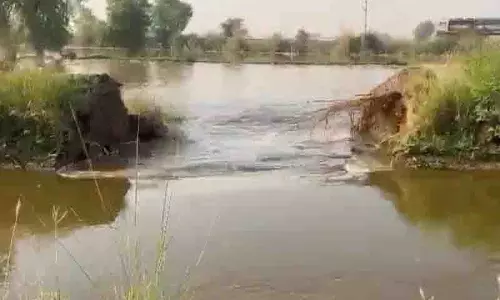 Abohar में उप-नहर टूटने से 100 एकड़ जमीन जलमग्न Abohar में उप-नहर टूटने से 100 एकड़ जमीन जलमग्न