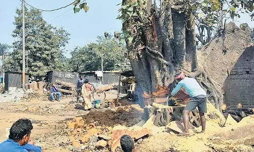 ओडिशा में NH-320 चौड़ीकरण कार्य में देरी, पेड़ों की कटाई से बाधा