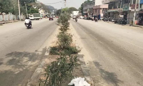 तापमान वृद्धि: शहर में अफरातफरी