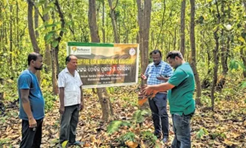 जंगल की आग से लड़ने के लिए रिलायंस ने Odisha सरकार से हाथ मिलाया
