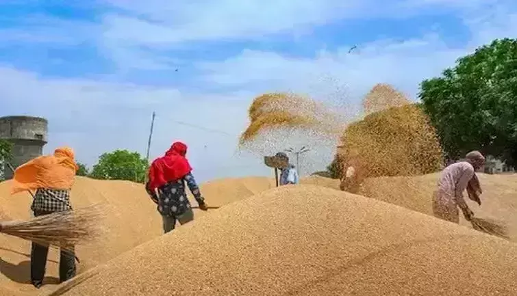 Bareilly: किसानों ने सरकारी केंद्रों को छोड़ा, बाजार में अधिक दाम पर बेची अपनी फसल Bareilly: किसानों ने सरकारी केंद्रों को छोड़ा, बाजार में अधिक दाम पर बेची अपनी फसल