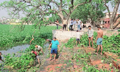 राजातालाब की सफाई शुरू, जलकुंभी निकाले जा रहे राजातालाब की सफाई शुरू, जलकुंभी निकाले जा रहे