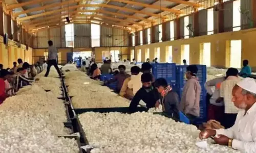 Karnataka: रेशम उत्पादन करने वाले किसानों के लिए अब फसल बीमा उपलब्ध