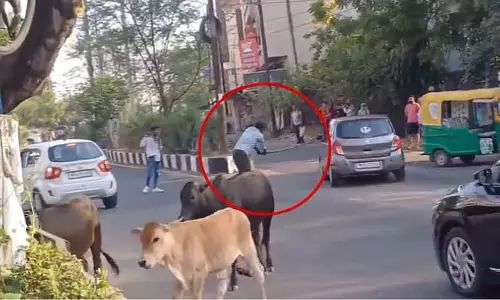 Bhopal : 12 नंबर मार्केट में शराबी ने चलती गाड़ियों पर डंडे से हमला किया Bhopal : 12 नंबर मार्केट में शराबी ने चलती गाड़ियों पर डंडे से हमला किया
