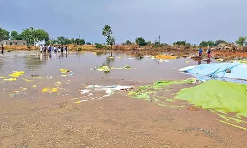 Andhra : बारिश से फसलें जलमग्न हो गई