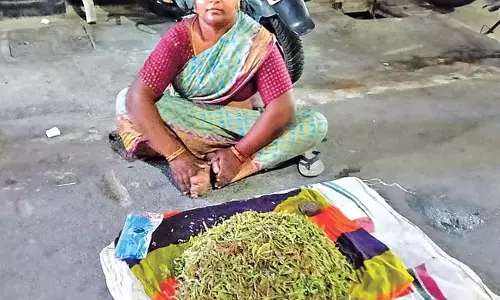 Telangana : इमली की कीमतें ऊंचाई पर Telangana : इमली की कीमतें ऊंचाई पर