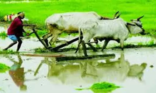 Ranchi: राज्य के 4.82 लाख किसानों का कर्ज माफ, 1746.39 करोड़ रुपए आवंटित Ranchi: राज्य के 4.82 लाख किसानों का कर्ज माफ, 1746.39 करोड़ रुपए आवंटित