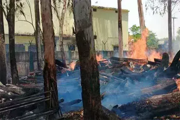 Latehar: एसओई परिसर में लगी आग, कई पेड़ व फर्नीचर जलकर राख Latehar: एसओई परिसर में लगी आग, कई पेड़ व फर्नीचर जलकर राख