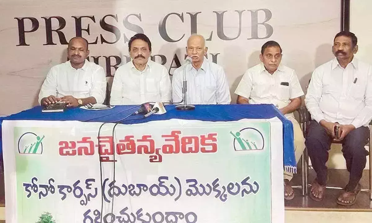 Andhra: कोनोकार्पस जलवायु का सहयोगी है, खतरा नहीं: विशेषज्ञ Andhra: कोनोकार्पस जलवायु का सहयोगी है, खतरा नहीं: विशेषज्ञ