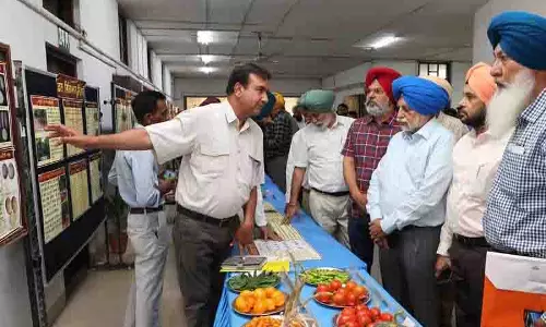 गहराते जल संकट के बीच Pusa-44 किस्म को चरणबद्ध तरीके से हटाया जाए