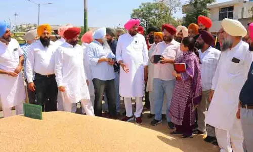 फसल की सुचारू खरीद सुनिश्चित करने के लिए गेहूं के उठान में तेजी लाएं: Dhaliwal फसल की सुचारू खरीद सुनिश्चित करने के लिए गेहूं के उठान में तेजी लाएं: Dhaliwal