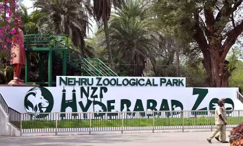 Hyderabad Zoo ने नए जानवरों और सफारी उन्नयन के साथ आगंतुकों के अनुभव को बढ़ाया