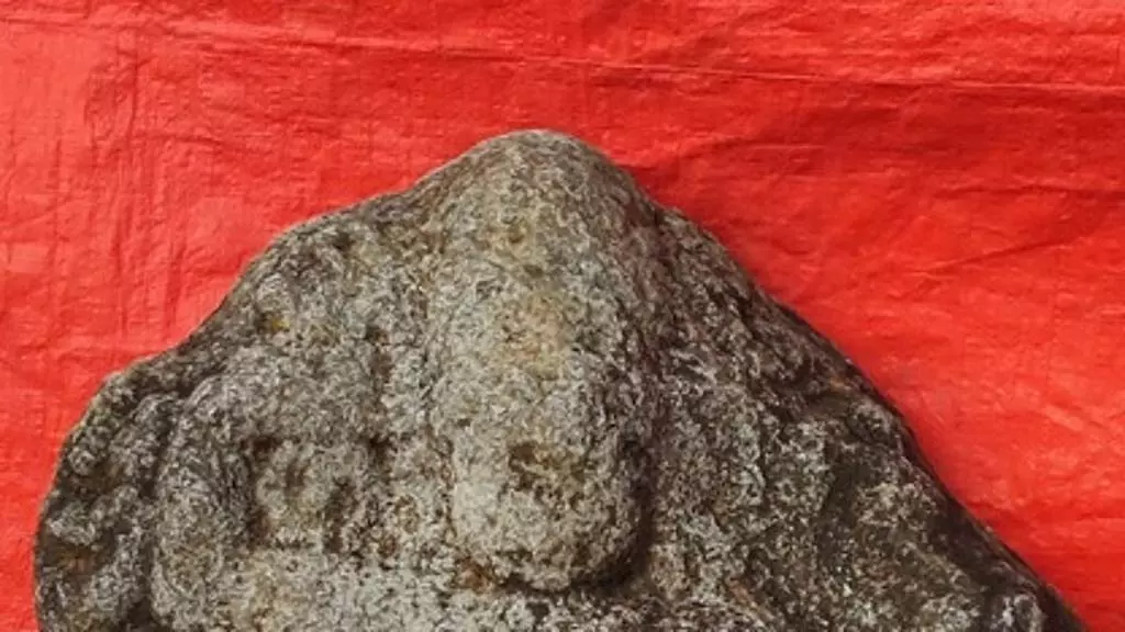 वेप्पनपल्ली के पास कुंथनी अम्मन की पत्थर की मूर्ति मिली: 11वीं शताब्दी की वेप्पनपल्ली के पास कुंथनी अम्मन की पत्थर की मूर्ति मिली: 11वीं शताब्दी की