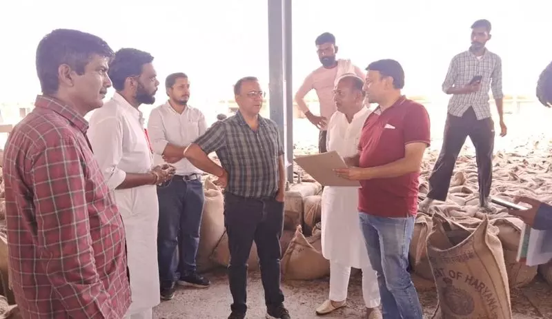Haryana : अधिकारियों ने सिरसा में बीज व्यापारियों पर छापे मारे Haryana : अधिकारियों ने सिरसा में बीज व्यापारियों पर छापे मारे