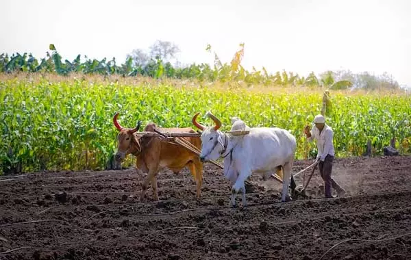 Sikar: 31 मार्च तक लिया ऋण चुकाने पर ब्याज में राहत, समाधान योजना लागू Sikar: 31 मार्च तक लिया ऋण चुकाने पर ब्याज में राहत, समाधान योजना लागू