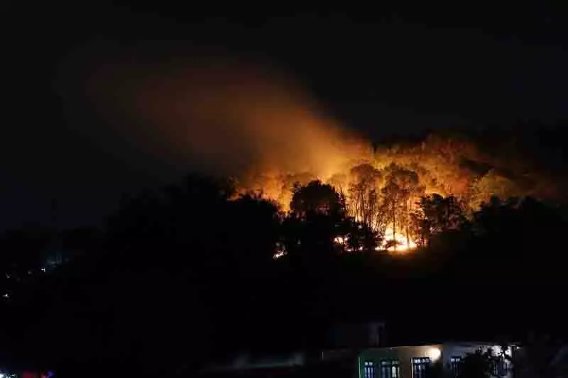Kangra के नगरोटा बगवां में जंगल में लगी आग Kangra के नगरोटा बगवां में जंगल में लगी आग