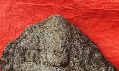 वेप्पनपल्ली के पास कुंथनी अम्मन की पत्थर की मूर्ति मिली: 11वीं शताब्दी की वेप्पनपल्ली के पास कुंथनी अम्मन की पत्थर की मूर्ति मिली: 11वीं शताब्दी की