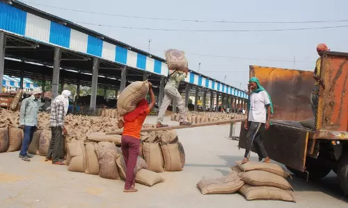 गेहूं की कटाई खत्म होने के करीब, Karnal के किसानों को 349 करोड़ रुपये का इंतजार गेहूं की कटाई खत्म होने के करीब, Karnal के किसानों को 349 करोड़ रुपये का इंतजार