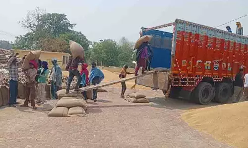 Punjab में निजी व्यापारी गेहूं क्यों उठा रहे Punjab में निजी व्यापारी गेहूं क्यों उठा रहे