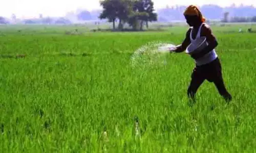मेट्टूर से पानी छोड़े जाने से पहले गाद निकालने का काम पूरा करें: Tamil Nadu मेट्टूर से पानी छोड़े जाने से पहले गाद निकालने का काम पूरा करें: Tamil Nadu