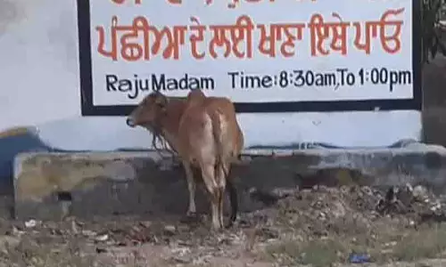 Jalandhar: बर्ल्टन पार्क में नल और हौद तोड़े गए, कार्यकर्ताओं ने गड़बड़ी का आरोप लगाया