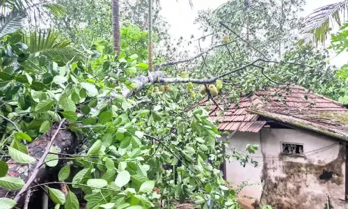 हवा और बारिश; बीच की अवधि में व्यापक क्षति
