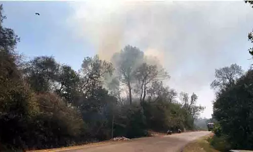 Kangra क्षेत्र में भीषण गर्मी के चलते नूरपुर के जंगलों में आग लगी Kangra क्षेत्र में भीषण गर्मी के चलते नूरपुर के जंगलों में आग लगी