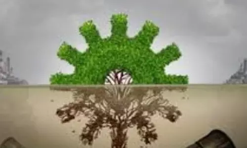पर्यावरण उल्लंघन की शिकायत के बाद GSEIAA ने वर्ल्डवाइड रिसॉर्ट्स की परियोजना रोकी पर्यावरण उल्लंघन की शिकायत के बाद GSEIAA ने वर्ल्डवाइड रिसॉर्ट्स की परियोजना रोकी