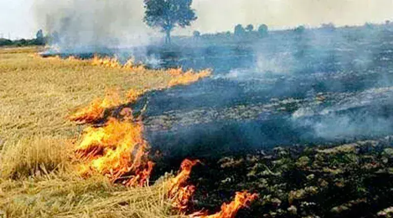 Satna: पर्यावरण नियमों का उल्लंघन, 107 किसानों पर केस दर्ज और भारी जुर्माना