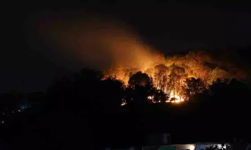 Kangra के नगरोटा बगवां में जंगल में लगी आग