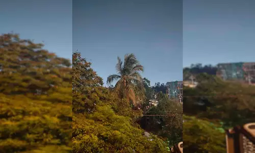 रायपुर: मौसम ने ली करवट, बढ़ती गर्मी के बीच आम जनता के लिए राहत भरी खबर रायपुर: मौसम ने ली करवट, बढ़ती गर्मी के बीच आम जनता के लिए राहत भरी खबर