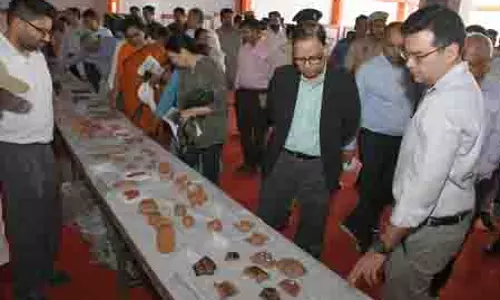 वित्त पैनल के पदाधिकारियों ने Haryana के विरासत स्थल राखीगढ़ी का दौरा किया वित्त पैनल के पदाधिकारियों ने Haryana के विरासत स्थल राखीगढ़ी का दौरा किया