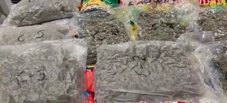 अहमदाबाद: अंतरराष्ट्रीय हवाई अड्डे पर डीआरआई ने 37 किलो से ज्यादा हाइड्रोपोनिक वीड जब्त की, चार गिरफ्तार अहमदाबाद: अंतरराष्ट्रीय हवाई अड्डे पर डीआरआई ने 37 किलो से ज्यादा हाइड्रोपोनिक वीड जब्त की, चार गिरफ्तार