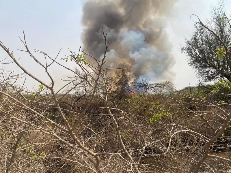 Haryana : जंगल की आग के बीच विशेष अरावली सुरक्षा बल की मांग तेज़ हुई Haryana : जंगल की आग के बीच विशेष अरावली सुरक्षा बल की मांग तेज़ हुई