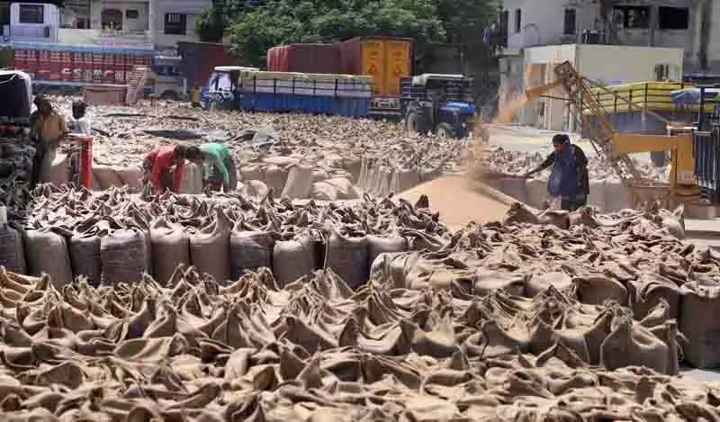Kapurthala की मंडियों में 3 लाख मीट्रिक टन से अधिक गेहूं की आवक Kapurthala की मंडियों में 3 लाख मीट्रिक टन से अधिक गेहूं की आवक