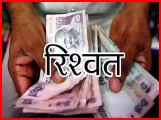 सरकारी कर्मचारी ने मांगे रुपये...वायरल वीडियो के बाद जिले में खलबली सरकारी कर्मचारी ने मांगे रुपये...वायरल वीडियो के बाद जिले में खलबली
