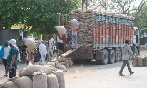 Karnal में गेहूं की आवक पिछले साल से अधिक होने की संभावना