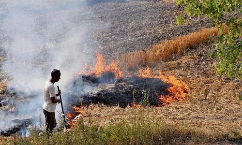 Haryana : फसल अवशेष जलाने पर रोक लगाने के लिए गांव और ब्लॉक स्तर पर टीमें गठित Haryana : फसल अवशेष जलाने पर रोक लगाने के लिए गांव और ब्लॉक स्तर पर टीमें गठित