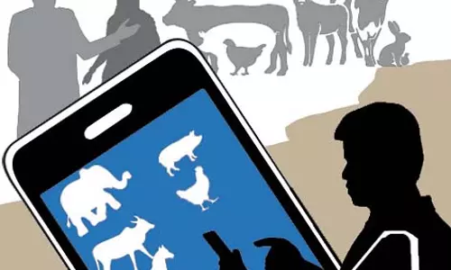 चिक्काबल्लापुर पशुधन जनगणना: सिकुड़े हुए बछड़े, बढ़ी हुई भेड़ें और मुर्गियाँ चिक्काबल्लापुर पशुधन जनगणना: सिकुड़े हुए बछड़े, बढ़ी हुई भेड़ें और मुर्गियाँ