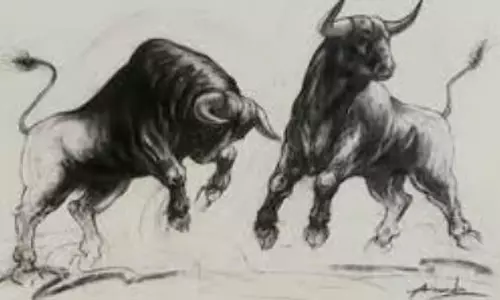 अवैध Betalbatim बुलफाइट में बैल की मौत, आयोजकों पर पशु क्रूरता का मामला दर्ज