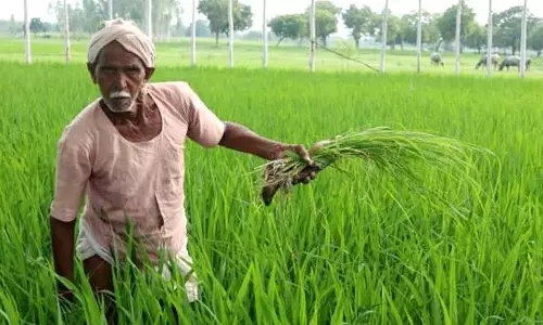 रेगहा और डुबान क्षेत्र पर खेती करने वाले किसानों के हित में बड़ा निर्णय रेगहा और डुबान क्षेत्र पर खेती करने वाले किसानों के हित में बड़ा निर्णय