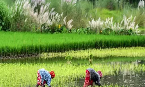 मार्च में महंगाई का बोझ कम होने से कृषि और ग्रामीण श्रमिकों को राहत मिली मार्च में महंगाई का बोझ कम होने से कृषि और ग्रामीण श्रमिकों को राहत मिली