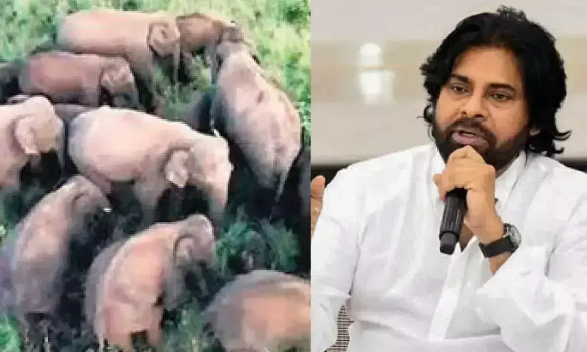 Andhra: हाथियों के खतरे से निपटने के लिए टास्क फोर्स तैनात