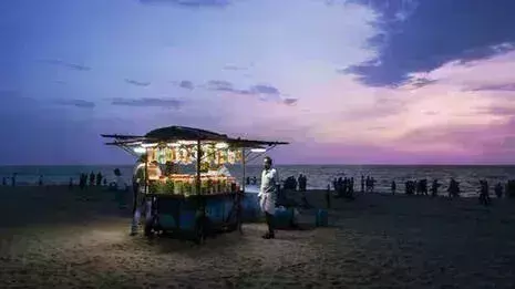 Kozhikode समुद्र तट पर भैंसों ने छह साल की बच्ची पर किया हमला, पसलियों में आई गंभीर चोट
