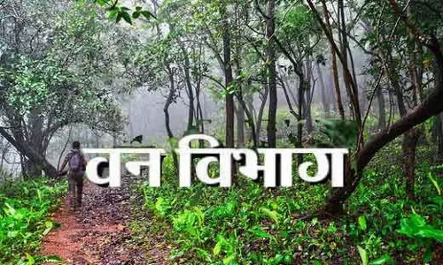 नहर किनारे अतिक्रमण को लेकर वन विभाग के अधिकारियों व XEN को नोटिस नहर किनारे अतिक्रमण को लेकर वन विभाग के अधिकारियों व XEN को नोटिस
