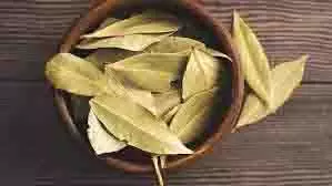 Health: डायबिटीज के मरीजों को रोज सुबह खाली पेट पीनी चाहिए इस सूखी पत्ती वाली चाय, तेजी से शुगर कम करने में है कारगर Health: डायबिटीज के मरीजों को रोज सुबह खाली पेट पीनी चाहिए इस सूखी पत्ती वाली चाय, तेजी से शुगर कम करने में है कारगर