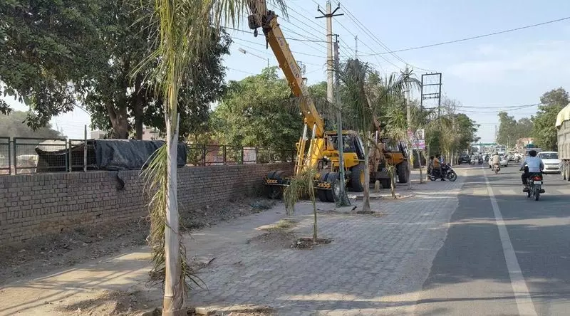 Punjab: सार्वजनिक लापरवाही नागरिक सेवाओं और पर्यावरण प्रयासों को बाधित करती Punjab: सार्वजनिक लापरवाही नागरिक सेवाओं और पर्यावरण प्रयासों को बाधित करती