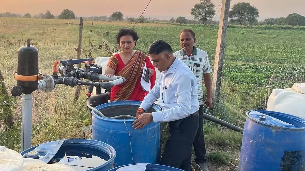 जैविक खेती से जबलपुर के किसानों को अच्छा मुनाफा जैविक खेती से जबलपुर के किसानों को अच्छा मुनाफा