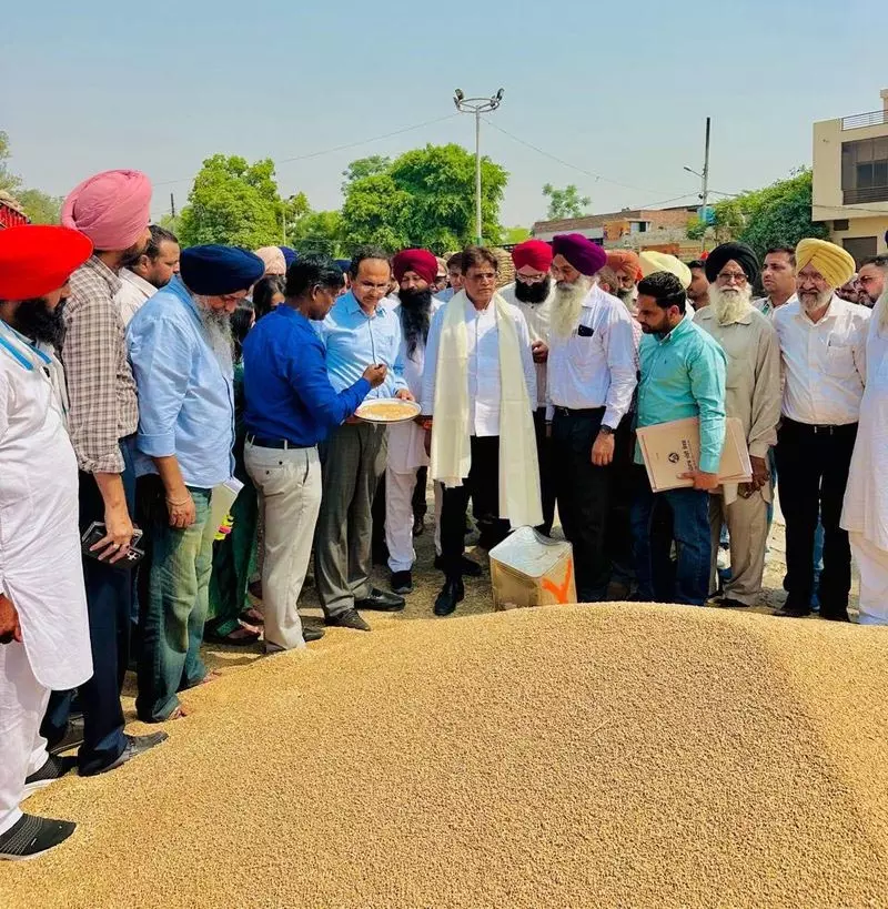 FCI चेयरमैन ने अमृतसर में गेहूं खरीद का आकलन किया FCI चेयरमैन ने अमृतसर में गेहूं खरीद का आकलन किया